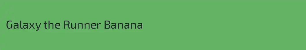 Galaxy the Runner Banana
